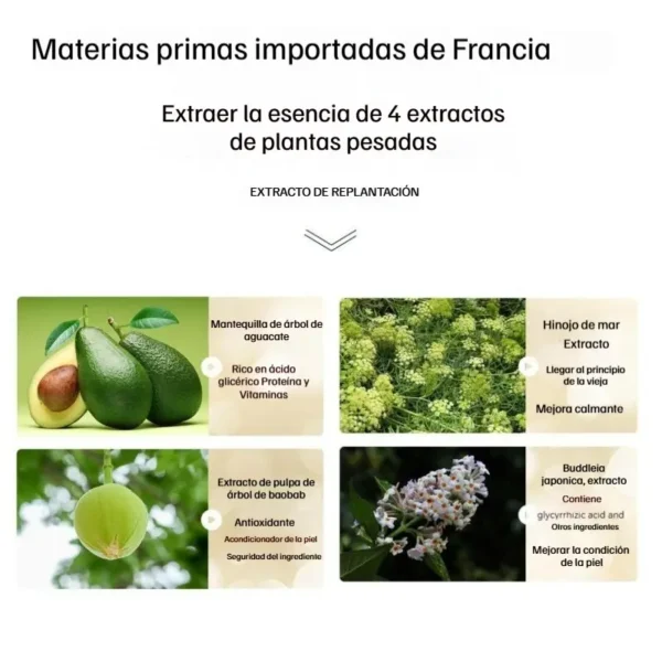 [QINGLIN]crema facial multirenovación formulada para refinar la textura de la piel y promover un cutis luminoso. Ayuda a mantener la comodidad de la piel mientras soporta una apariencia más suave y revitalizada. - Image 3